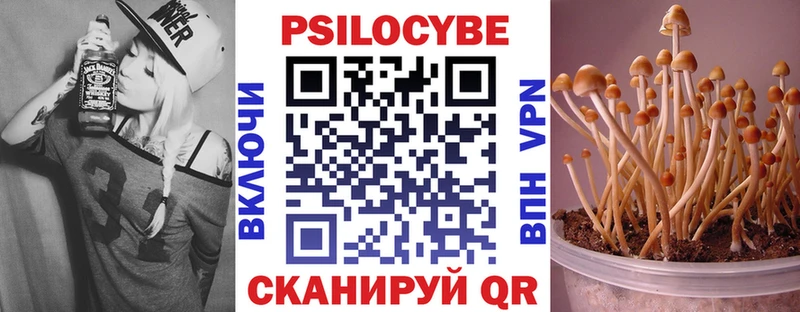 Галлюциногенные грибы Magic Shrooms  Купить закладки  Ярославль 