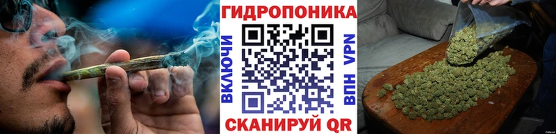 Канабис Amnesia  Купить где  Ярославль 